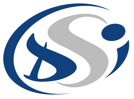Un logo stylisé comportant les lettres DSI en bleu et gris, avec des lignes courbes formant une forme circulaire abstraite autour des initiales.