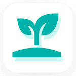 Une icône bleu sarcelle d'une jeune plante avec deux feuilles poussant du sol, centrée sur un fond carré arrondi blanc.