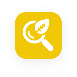 Une icône carrée arrondie jaune avec une loupe blanche recouvrant partiellement une feuille, symbolisant la recherche dans la nature ou l'enquête écologique.