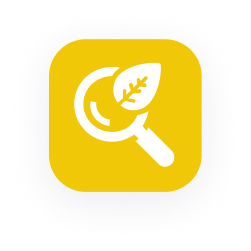 Une icône carrée arrondie jaune avec une loupe blanche recouvrant partiellement une feuille, symbolisant la recherche dans la nature ou l'enquête écologique.